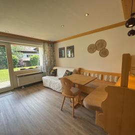 Gemütliche Wohnung mit Bergblick und Terrasse，位于上迈塞尔施泰因的酒店
