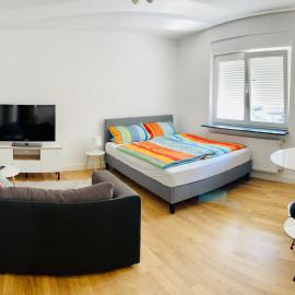 Gemütliches 1-Zimmer Appartement，位于兰根的酒店