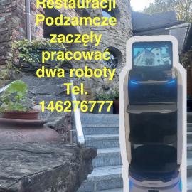 Hotel Podzamcze，位于塔尔努夫的酒店