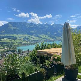 Chalet Seeblick，位于萨尔嫩的酒店