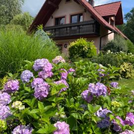 LAWENDOWA PRZYSTAŃ - dom nad rzeką - Brenna, 10 osób, sauna, balia z jacuzzi, ogród, plac zabaw，位于布伦纳的酒店