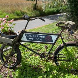 Langelinie Vin - Countryside