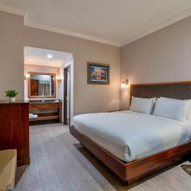 Wyndham Garden New Orleans Downtown，位于新奥尔良的酒店