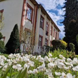 Pension im Gesundbrunnental Bad Freienwalde，位于巴特弗赖恩瓦尔德的酒店