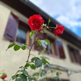 Ferienhaus Auf dem Knapp