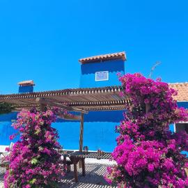 CasAzul Slow Stay in Nature，位于Bicas的酒店