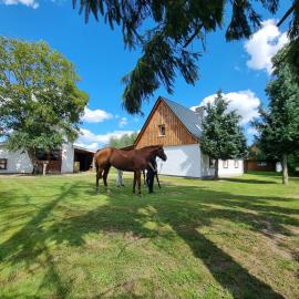 Ferienhaus in Ostseenähe auch mit Pferd，位于Ducherow的酒店
