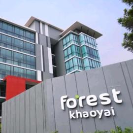 Bird's nest forest khaoyai