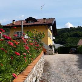 Agritur Casa al Mulino Appartamenti，位于桑泽诺的酒店