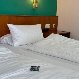 Hotel am Bergl,位于施韦因福特的酒店