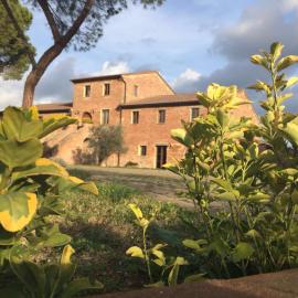 Tuscany Heritage Exclusive - La Ceppa，位于锡纳伦加的酒店