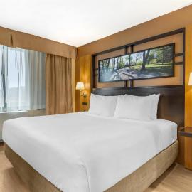 Best Western Queens Gold Coast，位于皇后区的酒店