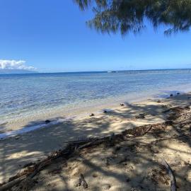 MOOREA - Naku Kahi Bungalow 4，位于Maatea的酒店