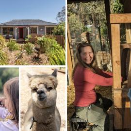 Blue Mountains Urban Farm Stay near Sydney，位于Hazelbrook的酒店