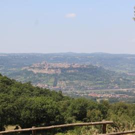 Agriturismo Fattoria Poggio Boalaio，位于奥维多的酒店