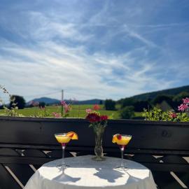 Hôtel l'Orée des Roches，位于萨里斯的酒店
