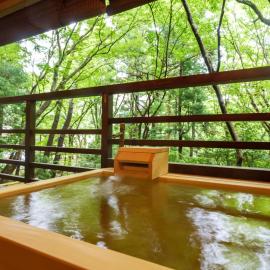 Mizunoto，位于箱根的酒店