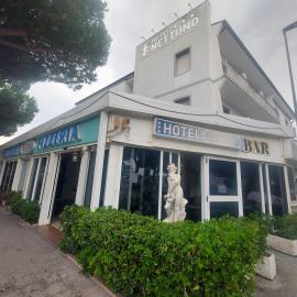 Hotel Nettuno，位于蓬他码头的酒店