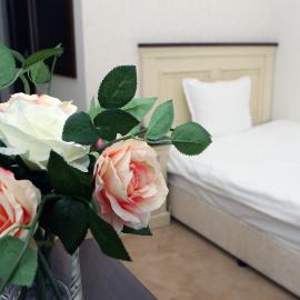 Hotel Par Avion，位于阿普里尔齐的酒店