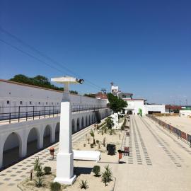 Hostel Cazino Sud，位于马马亚的酒店