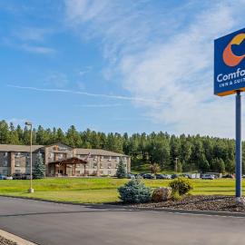 Comfort Inn & Suites，位于卡斯特的酒店