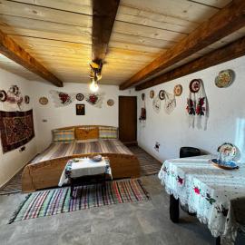 Casa Radu - Zece Hotare，位于Zece Hotare的酒店