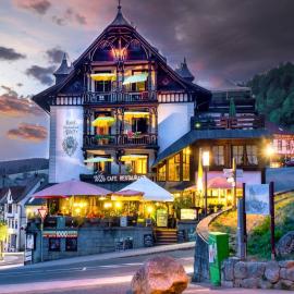 Hotel Pfaff，位于特里贝格的酒店