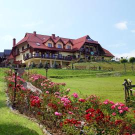 Hotel LOKIS，位于涅兹卡城堡的酒店