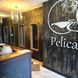 Pelican，位于Zagrody的酒店