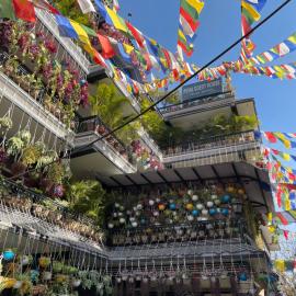 Pema Guest House，位于加德满都的酒店