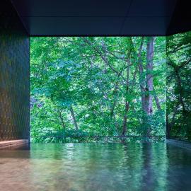 Shima Onsen Yuzuriha，位于中之条的酒店