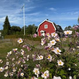 Traumhaus mit Seegrundstück，位于Holmsjö的酒店