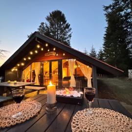 Unique forest cabin by lake near Legoland, ForestCabinDK，位于安斯艾厄的酒店