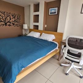 S04 SUITE KING Premium TEC CEM con Cocineta WiFi Balcón Parking Terraza，位于墨西哥城的酒店