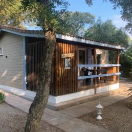 Chalet à Gassin au calme sous les pins