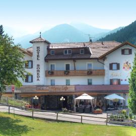Alpen Family Hotel Someda，位于莫埃纳的酒店