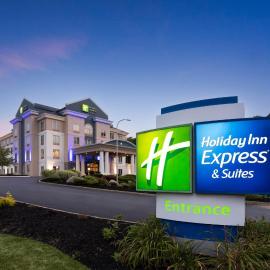Holiday Inn Express Hotel & Suites Hamburg by IHG，位于汉堡的酒店