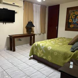 Hotel oasis suites，位于德利西亚斯的酒店
