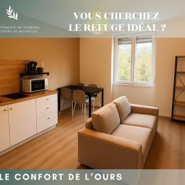 Le Confort de l'Ours，位于米卢斯的酒店