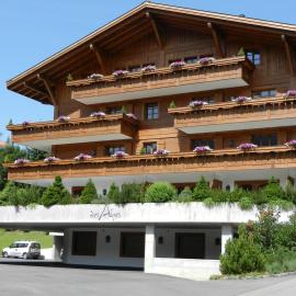 Hotel des Alpes Superieur，位于格施塔德的酒店