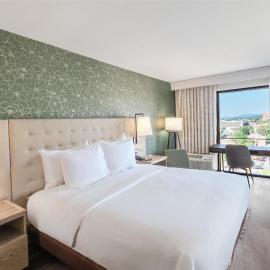 Hilton Birmingham Downtown at UAB，位于伯明翰的酒店