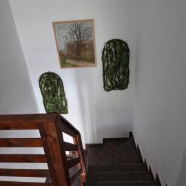 Pensiunea Gradia Șuncuiuș，位于顺库尤什乡的酒店
