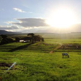 Blarney Stone Cottage，位于Killarney的酒店
