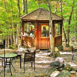 Fabulous Tiny House Surrounded by Forest in Norwich, Connecticut，位于诺维奇的酒店