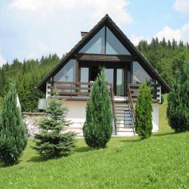 Ferienhaus im Bayerischen Wald，位于Schöfweg的酒店