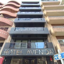 Hotel Avenida,位于波瓦-迪瓦尔津的酒店