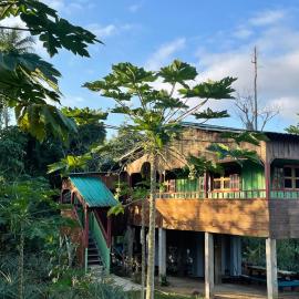 Casas Salomão，位于Santo António的酒店