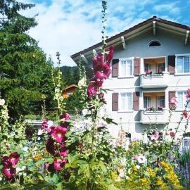 Chalet Julie in Villars-sur-Ollon，位于Ollon的酒店