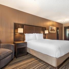 Best Western PLUS Calgary Centre Inn，位于卡尔加里的酒店