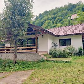 Rustic Home，位于Ciungetu的酒店
